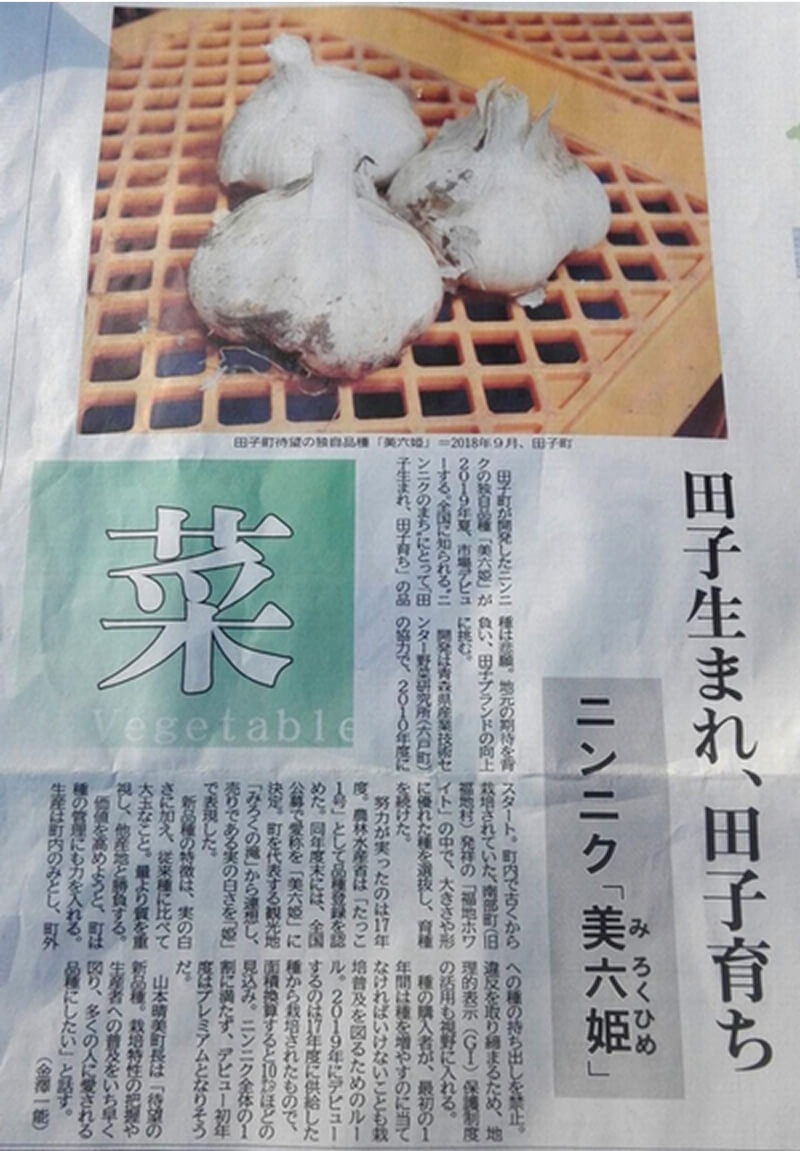 美六姫の新聞記事